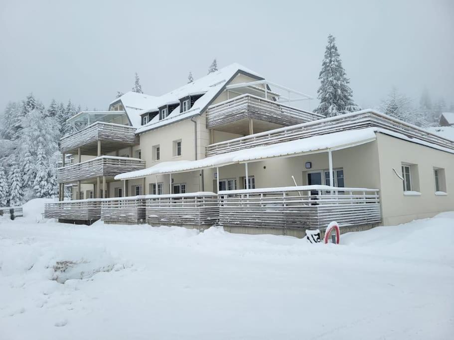 Appartement Chaleureux Au Pied Des Pistes Orbey Exterior foto